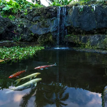 Hana Kai Maui - #104 Haneoʻo Exterior photo